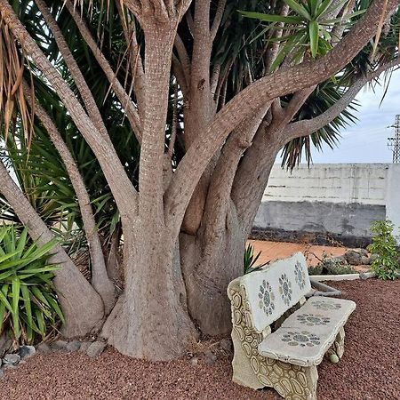 Tenerife Apartment Dulcynea With Terrace And Garden 600M2 With Ocean And Teide View إيكود ذي لوس فينوس المظهر الخارجي الصورة
