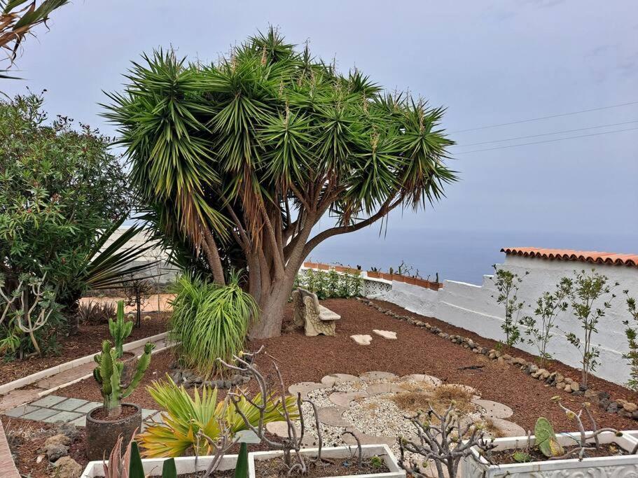 Tenerife Apartment Dulcynea With Terrace And Garden 600M2 With Ocean And Teide View إيكود ذي لوس فينوس المظهر الخارجي الصورة