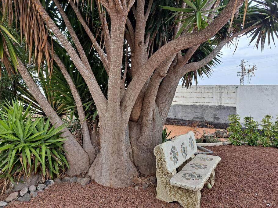 Tenerife Apartment Dulcynea With Terrace And Garden 600M2 With Ocean And Teide View إيكود ذي لوس فينوس المظهر الخارجي الصورة