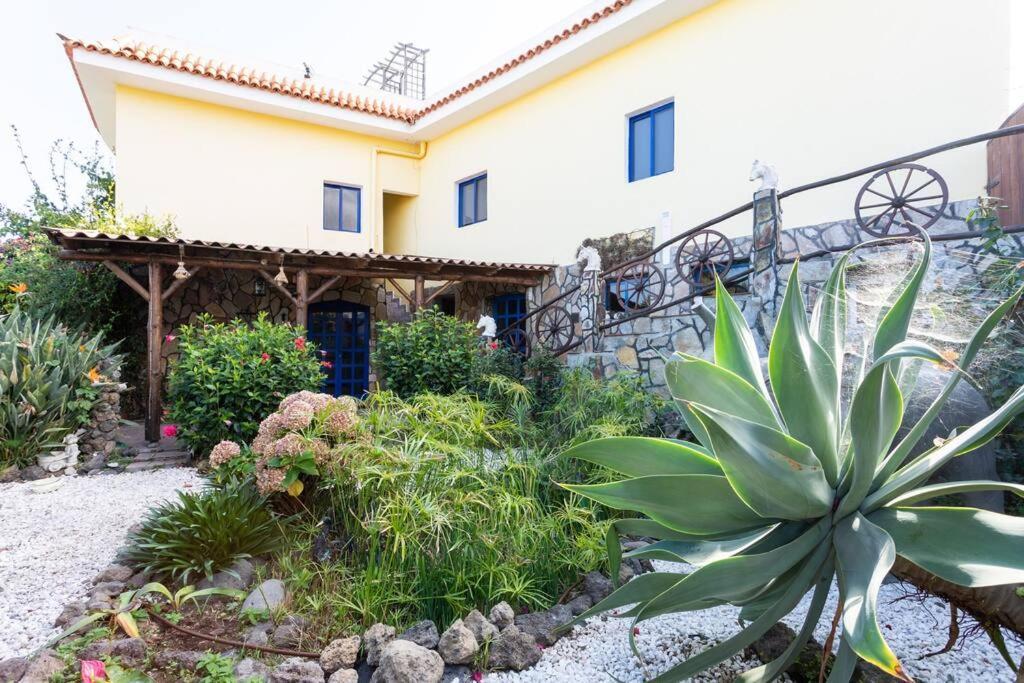 Tenerife Apartment Dulcynea With Terrace And Garden 600M2 With Ocean And Teide View إيكود ذي لوس فينوس المظهر الخارجي الصورة