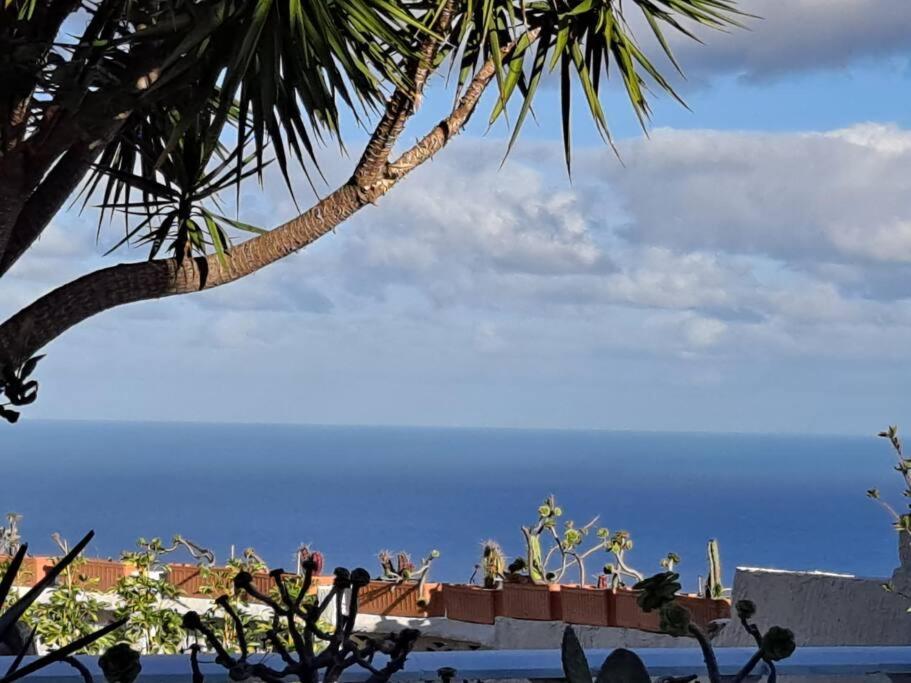 Tenerife Apartment Dulcynea With Terrace And Garden 600M2 With Ocean And Teide View إيكود ذي لوس فينوس المظهر الخارجي الصورة